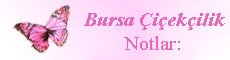 Bursa iekilik notlar