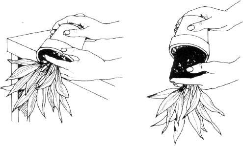 saks� de�i�tirme saks�